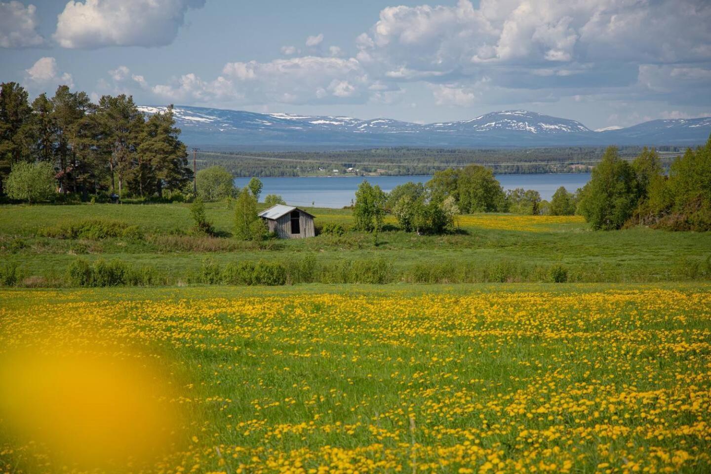 Cozy Mountain View Apartment Orrviken 외부 사진